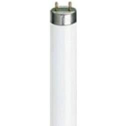 Sylvania 0000578 Fluorescent Lamp 36W G13