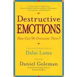 destructive emotions a scientific dialogue with the dalai lama (Paperback, 2004)