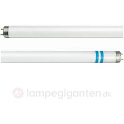 Philips Master TL-D Secura Fluorescent Lamp 18W G13 840