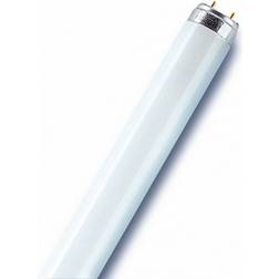 Sylvania 0000021 Fluorescent Lamp 8W G5