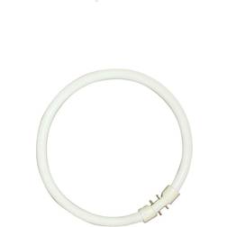 Sylvania 0000520 Fluorescent Lamp 22W 2GX13