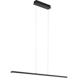 Eglo Pellaro Matte Black Pendel 110cm