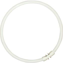 Sylvania 0000523 Fluorescent Lamp 40W 2GX13