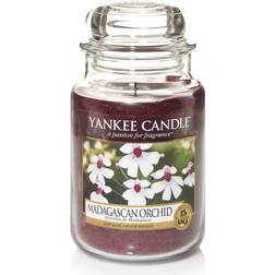 Yankee Candle Madagascan Orchid Large Scented Candle 623g