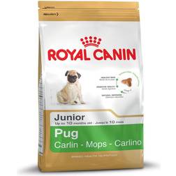 Royal Canin Pug Junior