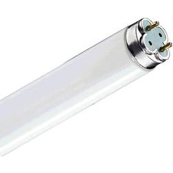 Philips Master TL-D Xtreme Fluorescent Lamp 18W G13