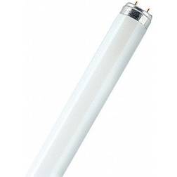 Philips Master TL-D 90 Graphica Fluorescent Lamp 36W G13 965