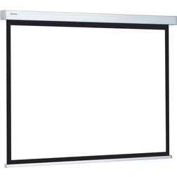 Projecta ProScreen Matte White (1:1 99" Manual)