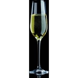 Maxwell & Williams Vino Champagne Glass 18cl 6pcs