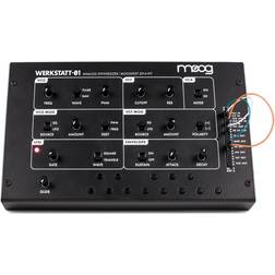 Moog Werkstatt-01