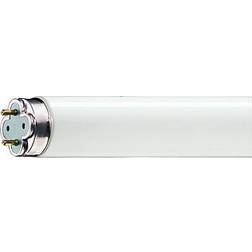 Philips Master TL-D Xtreme Fluorescent Lamp 36W G13 840