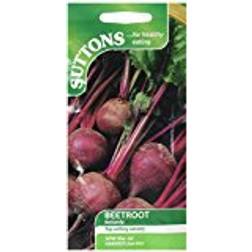 Suttons Beetroot Seeds - Boltardy 250 Seeds Pack