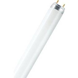 Osram Bombilla fluorescente G13 T8 58W 865 LUMILUX