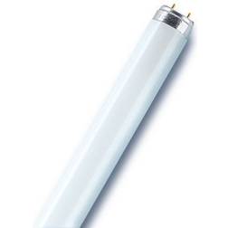 Osram Lumilux T8 Fluorescent Lamp 36W G13 827 1