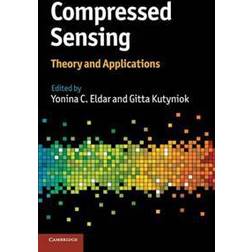 Compressed Sensing (Inbunden, 2012)