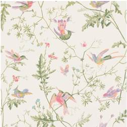 Cole & Son Hummingbirds Wallpaper Archive Anthology Soft multi-colour 100/14067 Roll