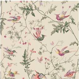 Cole & Son Hummingbirds Wallpaper Archive Anthology Original multi-colour 100/14071 Roll