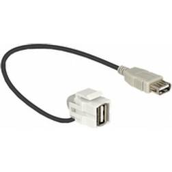 DeLock Keystone USB A-USB A 2.0 F-F 0.3m