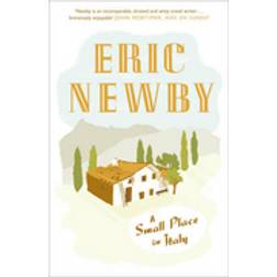 A Small Place in Italy (Paperback, 2011)