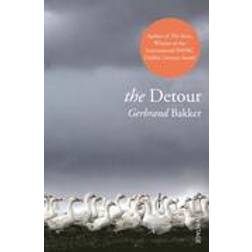 The Detour (Paperback, 2013)