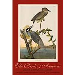 The Birds of America (Inbunden, 2013)