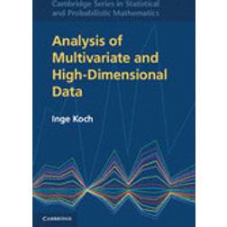 Analysis of Multivariate and High-Dimensional Data (Inbunden, 2013)