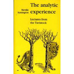 The Analytic Experience (Häftad, 1986)