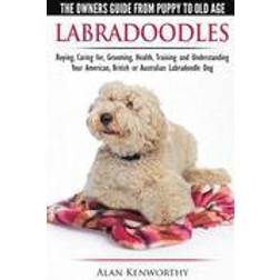 Labradoodles - The Owners Guide from Puppy to Old Age for Your American, British or Australian Labradoodle Dog (Häftad, 2015)