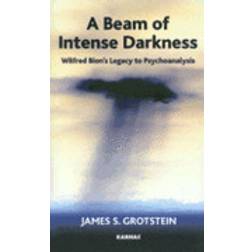 A Beam of Intense Darkness (Häftad, 2007)