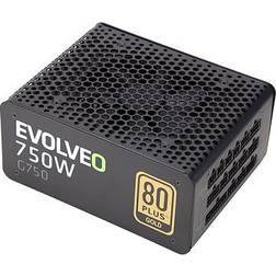 Evolveo G750 750W