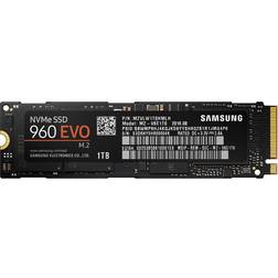 Samsung 960 EVO MZ-V6E1T0BW 1TB