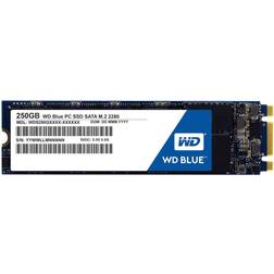 Western Digital Blue PC 250GB M.2