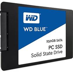 Western Digital Blue 250 Go SSD