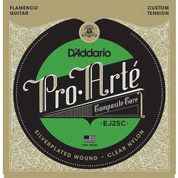 D'Addario EJ25C