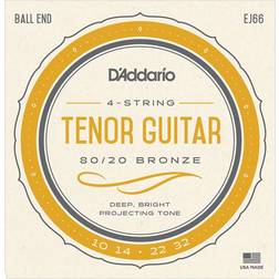 D'Addario EJ66