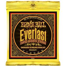 Ernie Ball P02554