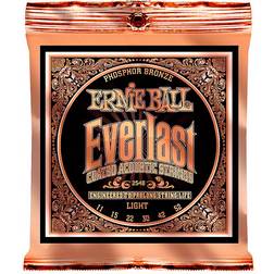 Ernie Ball P02548