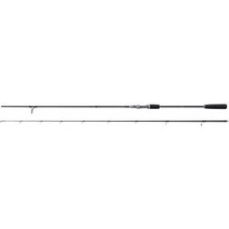 Berkley Skeleton XCD 9' 15-40g