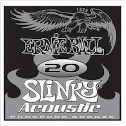 Ernie Ball P01820