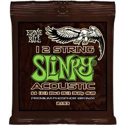 Ernie Ball 2153 Earthwood Phosphor Bronze 12-String Light