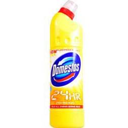 Domestos Citrus Fresh Bleach