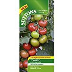 Suttons Tomato Seeds - F1 Crimson Crush 10 Seeds Pack