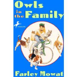 owls in the family