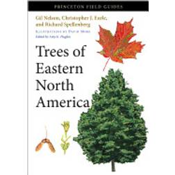 Trees of Eastern North America (Häftad)