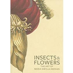 insects and flowers the art of maria sibylla merian brafman david and schra