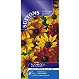 Suttons Rudbeckia Seeds - Rustic Dwarf Mix 45 Seeds Pack