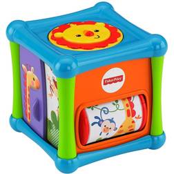 Fisher-Price Animal Activity Cube