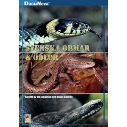 Svenska ormar & ödlor (DVD) (DVD 2014)