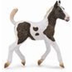 Collecta Curly Foal 88781