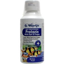 Waterlife Protozin